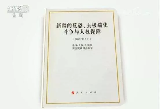 国新办发表白皮书：“依法反恐”的中国经验，在新疆如何落地生根？
